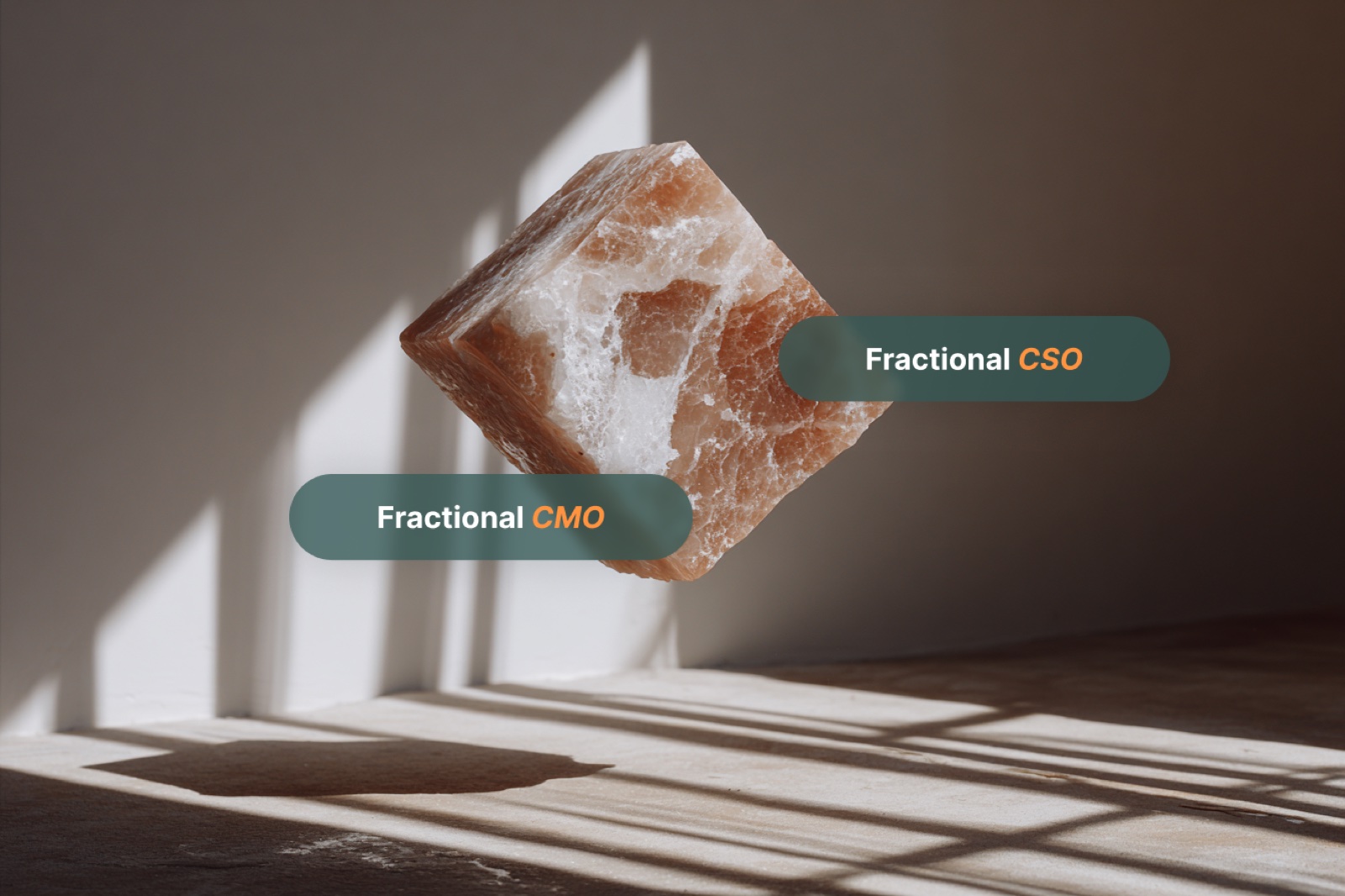 Fractional CMO a CSO — kompletní průvodce pro B2B firmy